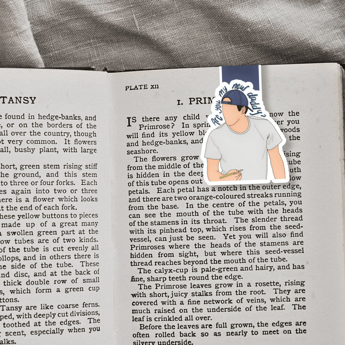 Are You My New Daddy? Magnetic Bookmark - Awfullynerdy.co