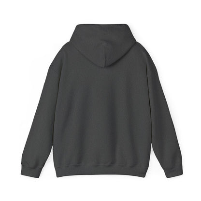 I Put the Hot in Psychotic Hoodie