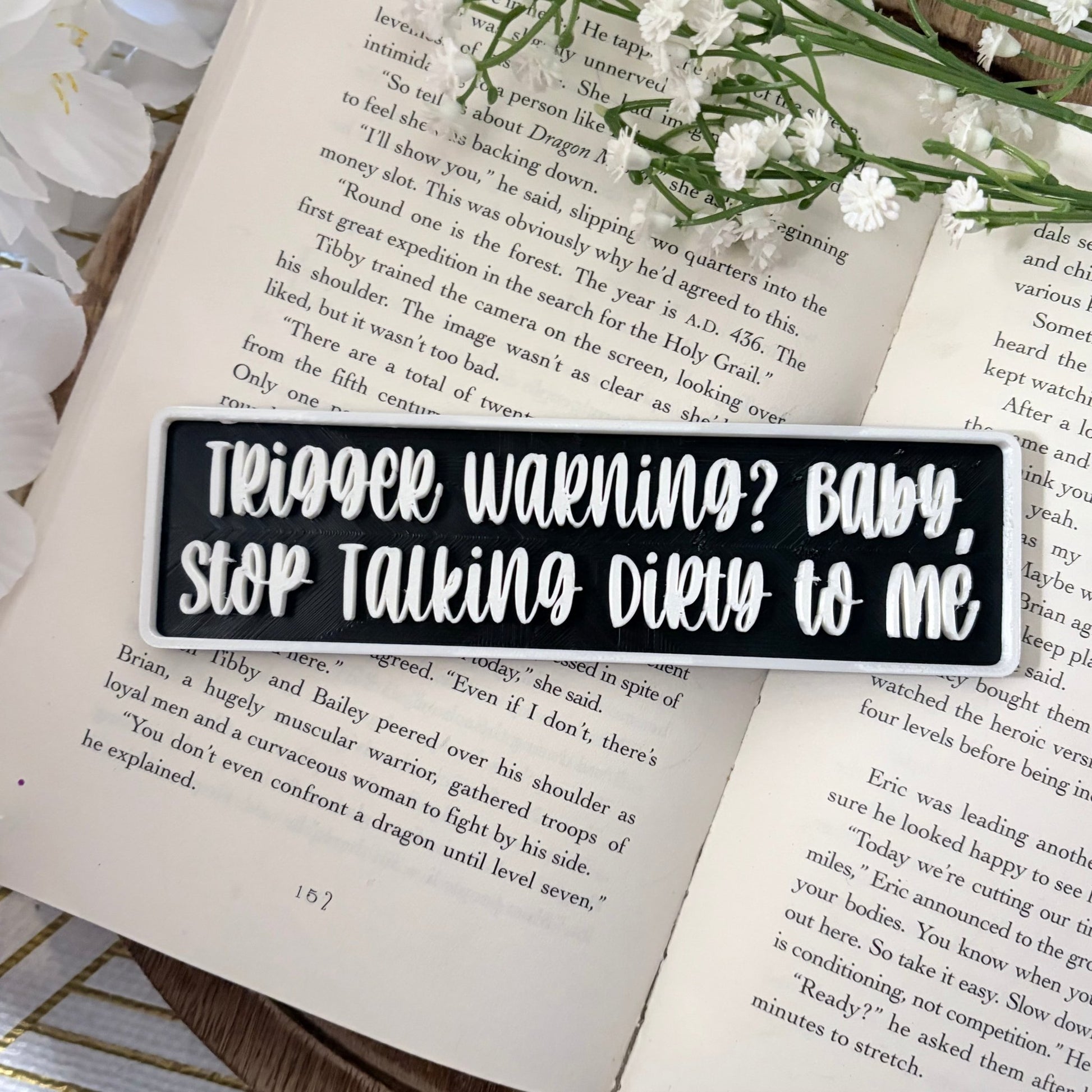 3d Printed Shelf Sign - "Trigger Warning? Baby, Stop Talking Dirty to Me" - Awfullynerdy.co