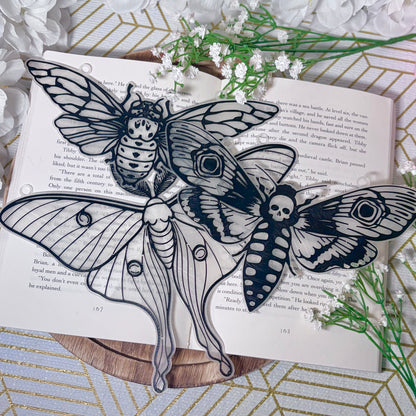 3D Printed Moth Suncatcher - 3 Versions