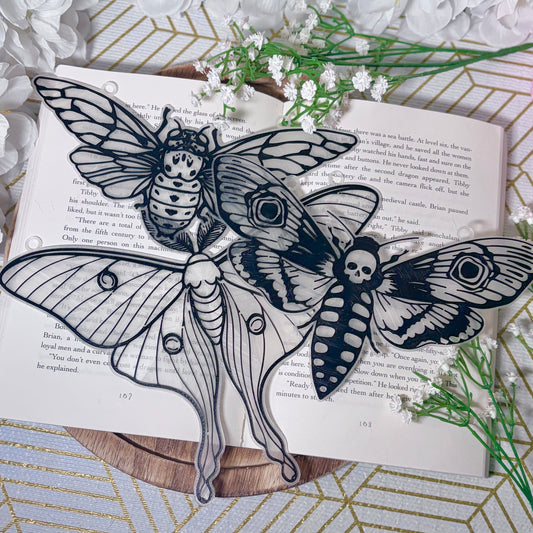 3D Printed Moth Suncatcher - 3 Versions