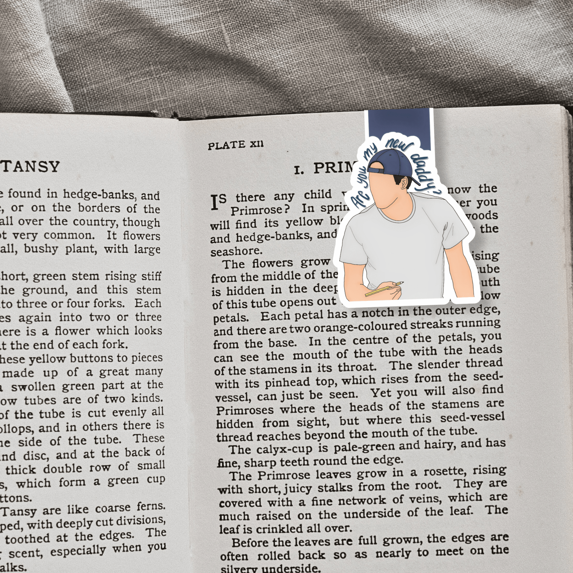 Are You My New Daddy? Magnetic Bookmark - Awfullynerdy.co