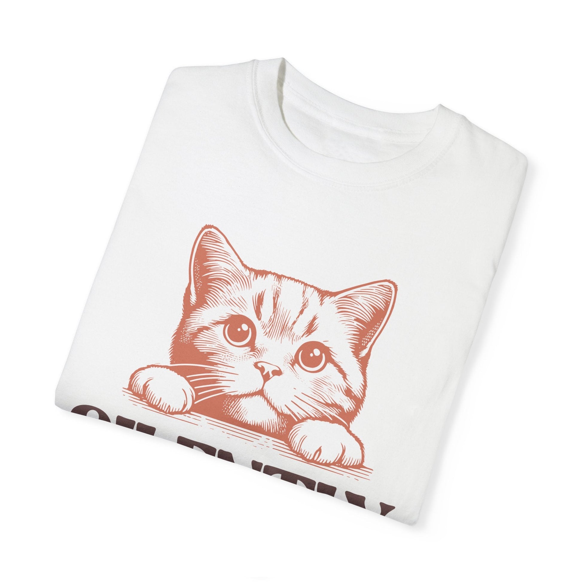 Comfort Colors Silently Judging You Kitty Unisex Garment - Dyed T - shirt - Awfullynerdy.co