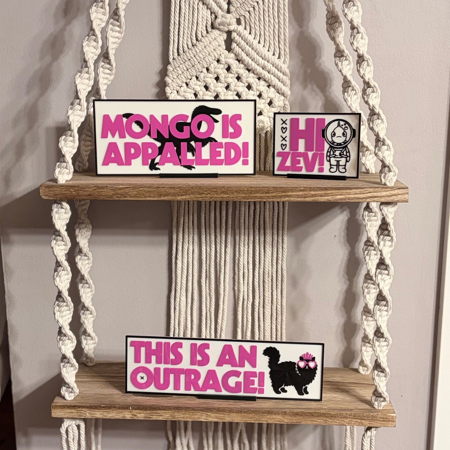 DCC Inspired "Hi Zev!" Light Up Book Nook - Awfullynerdy.co