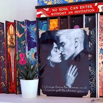 Dramione Inspired Bookish Metal Print – 6x8" Sublimated Photo Art - Awfullynerdy.co