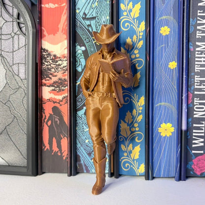Hot Cowboy Reading a Book Bookshelf Decor - Awfullynerdy.co