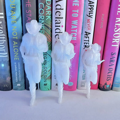 Hot Cowboy Reading a Book Bookshelf Decor - Awfullynerdy.co