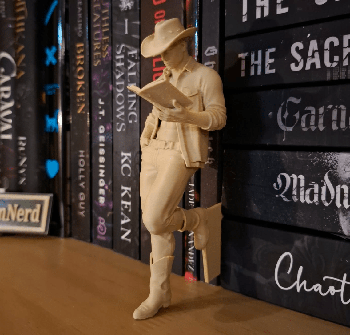 Hot Cowboy Reading a Book Bookshelf Decor - Awfullynerdy.co