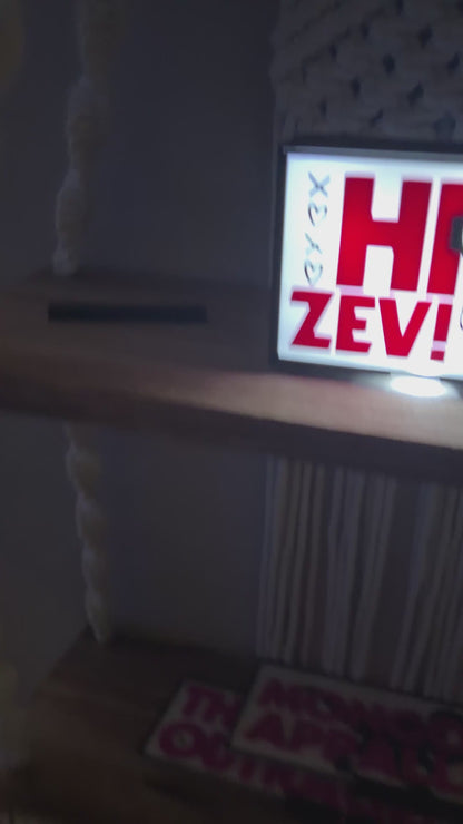 DCC Inspired "Hi Zev!" Light Up Book Nook