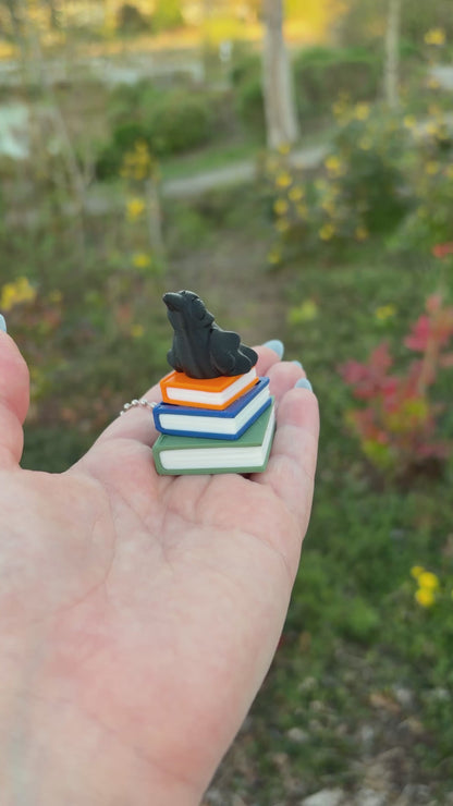 The Ravenhood Series Inspired Book Stack Fidget Clicker Keychain