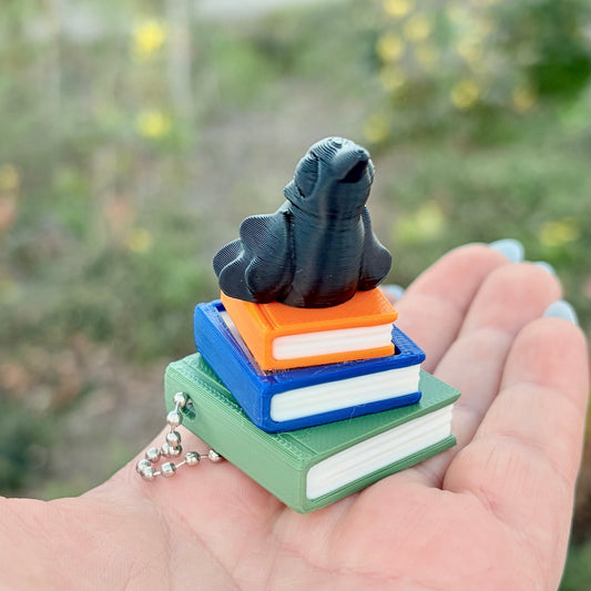 Ravenhood Inspired Book Stack Fidget Clicker Keychain - Awfullynerdy.co