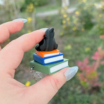 Ravenhood Inspired Book Stack Fidget Clicker Keychain - Awfullynerdy.co