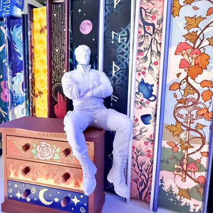 Xaden inspired Bookshelf Decor - Awfullynerdy.co