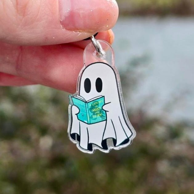 Ghost Reading A Court of Mist and Fury Dust Plug USB-C - Awfullynerdy.co